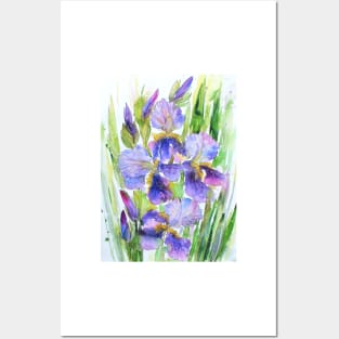 Purple Glory Watercolor Painting Posters and Art
